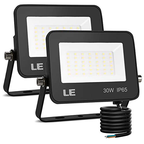 Impermeabile IP66 Fari LED Lampada Luce di Sicurezza Potente Super Luminosa per Giardino Corridoio Cortile Bianco Freddo 6000K 30W Faretto LED da Esterno Blivrig 3000LM Proiettore Faro LED Impermeabile IP66 Fari LED Lampada Luce di Sicurezza Potente Super Luminosa per Giardino Corridoio Cortile Bianco Freddo 6000K 30W Faretto LED da Esterno Blivrig 3000LM Proiettore Faro LED
